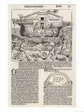 Noah Builds His Ark