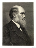 Charles Darwin Naturalist