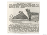 Equipment Queen Victoria's Skates Manufactured by Marsden Brothers and Silverwood of Sheffield