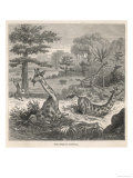 African Kaffirs Trap Giraffe in Pitfalls into Which They are Driven with Spears