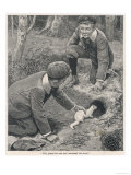 Two Boys in Caps Set a Ferret Down a Rabbit Hole