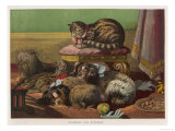 Two King Charles Spaniels Relax with Other Friends Canine and Feline