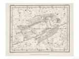 Virgo