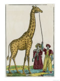 Giraffe at Paris 1826