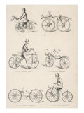 Variety of Early Bicycles