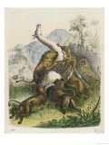 Giraffe Attacked by Six Lions