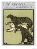 Deerhounds on Cover