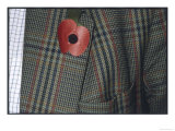 Remembrance Poppy on the Lapel of a Tweed Jacket