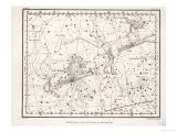 Leo Minor and Lynx