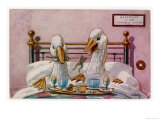 Couple of Geese Breakfast in Bed: Their Meal Includes Eggs Can They be Cannibals