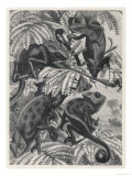 Chameleons in Foliage
