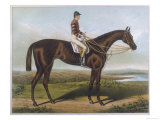 Winner of the Derby and St Leger in 1881