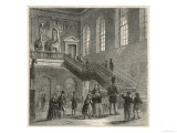 Giraffes Dominate the Staircase