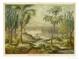 Animals and Plants of the Carboniferous Era in Europe