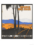 Orange Free State