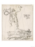 Comets 1685