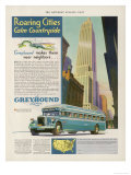 Take the Greyhound Lines to New York