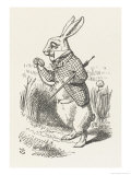 The White Rabbit Checks His Watch