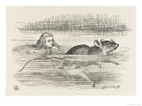 Alice Swims in the Pool of Tears