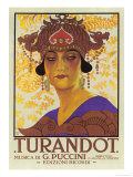 Portrait of Princess Turandot