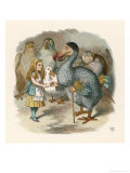 Alice and the Dodo