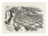 Looking Glass Country