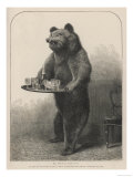 Bear Waiter
