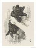 Black Kitten Alice Shakes the Kitten