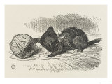 Black Kitten the Black Kitten Plays with a Ball of Twine