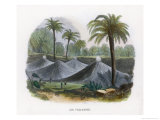 Air Volcanoes (Volcanitos) of Turbaco Near Cartagena Colombia