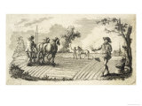 It's All Happening  Ploughing and Harrowing and Sowing Together