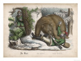 In a Snowy Wood the Bear Successfully Hunts Down the Hunter