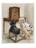 Three Dogs Enjoy a Radio Broadcast
