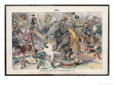 Theodore Roosevelt 26th American President Depicted as a Circus Ringmaster