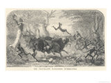 The Travelling Procession is Interrupted by a Herd of Buffalo