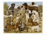 Large Assortment of Dogs: Including:Hounds Setters and Spaniels