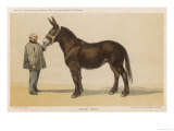 Young French Mule with Its Owner Monsieur Rimbault First Prize at the Niort Competition of 1865