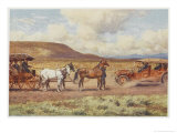 Car Meets a Carriage in the Australian Outback