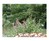 BRIDGE IN CENTRAL PARK