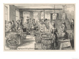 Women Weighing Chocolate and Filling Packets in the Fry's Chocolate Factory in Bristol