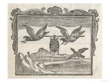 Tortoise and Two Ducks