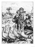 Driving Geese to a Country Goose Fair