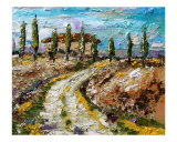 Spanish Landscape - Autumn After Harvest