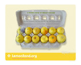 Lemonland  "Dozen Signs of Breast Cancer"