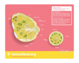 Lemonland 