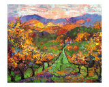 Autumn Vineyard