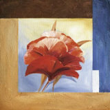 Passionate Poppies II