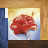 Passionate Poppies I