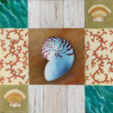 Shell Collage III
