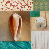 Shell Collage I